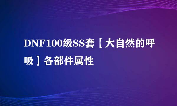 DNF100级SS套【大自然的呼吸】各部件属性