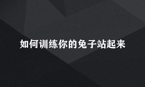 如何训练你的兔子站起来
