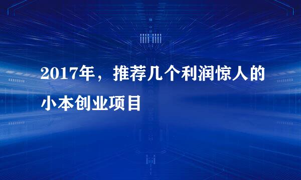 2017年，推荐几个利润惊人的小本创业项目