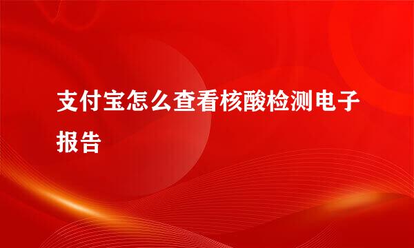 支付宝怎么查看核酸检测电子报告