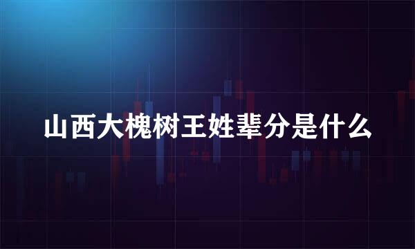 山西大槐树王姓辈分是什么