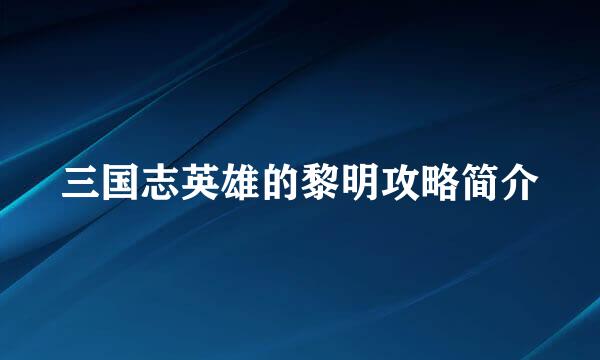 三国志英雄的黎明攻略简介