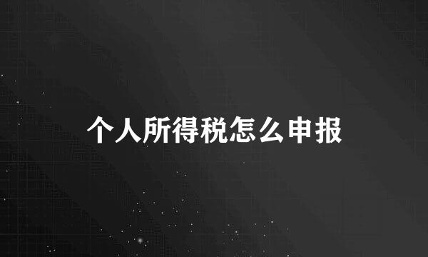个人所得税怎么申报