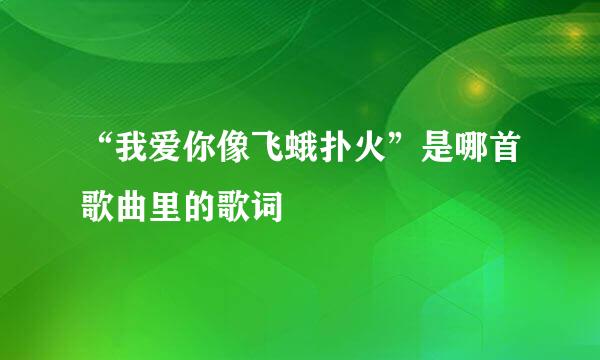 “我爱你像飞蛾扑火”是哪首歌曲里的歌词