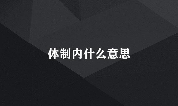 体制内什么意思