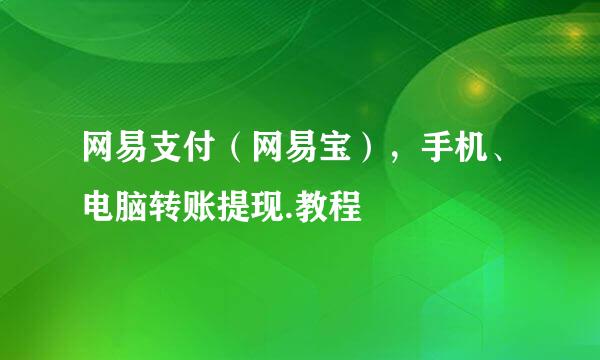 网易支付（网易宝），手机、电脑转账提现.教程