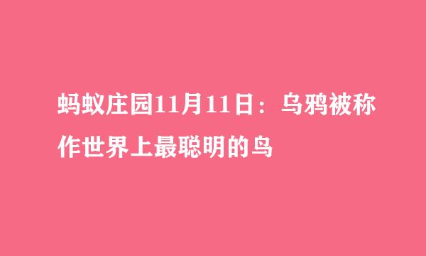蚂蚁庄园11月11日：乌鸦被称作世界上最聪明的鸟