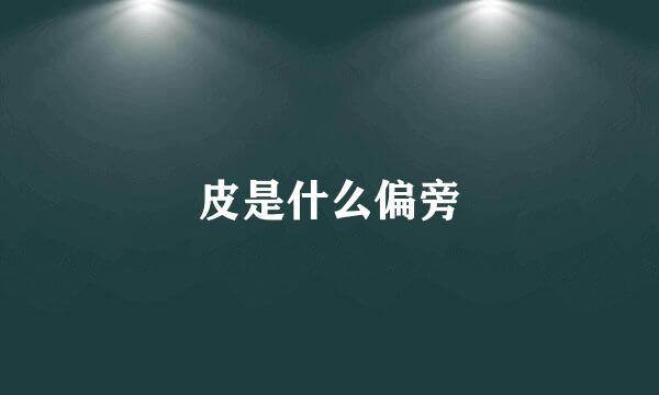 皮是什么偏旁