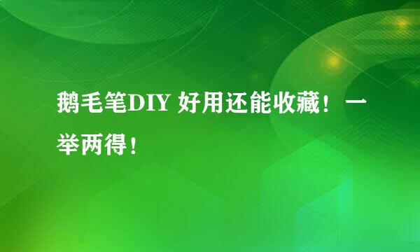 鹅毛笔DIY 好用还能收藏！一举两得！