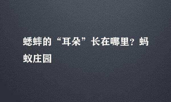 蟋蟀的“耳朵”长在哪里？蚂蚁庄园