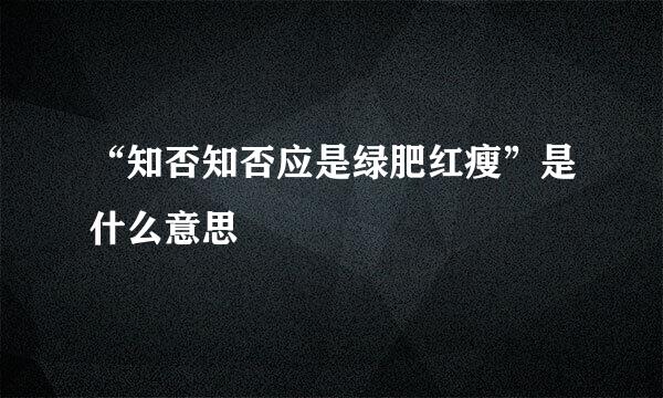 “知否知否应是绿肥红瘦”是什么意思