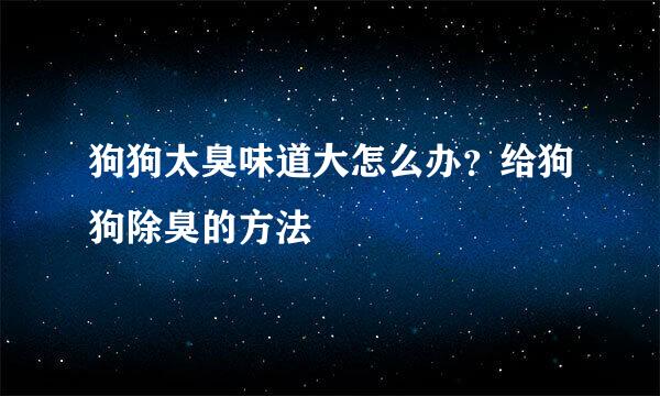 狗狗太臭味道大怎么办？给狗狗除臭的方法