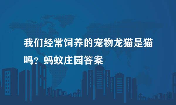 我们经常饲养的宠物龙猫是猫吗？蚂蚁庄园答案