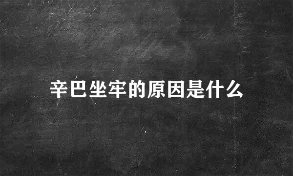 辛巴坐牢的原因是什么