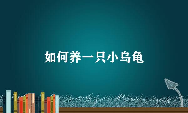 如何养一只小乌龟