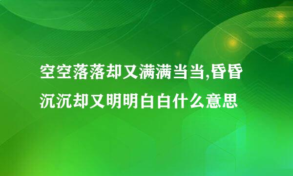 空空落落却又满满当当,昏昏沉沉却又明明白白什么意思