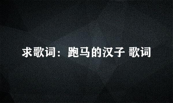求歌词：跑马的汉子 歌词