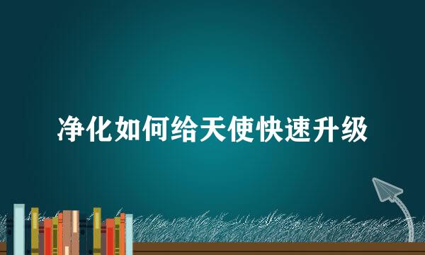 净化如何给天使快速升级