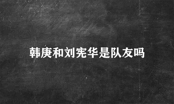 韩庚和刘宪华是队友吗