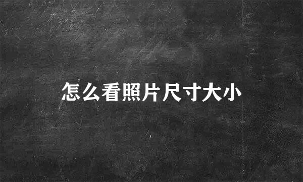 怎么看照片尺寸大小