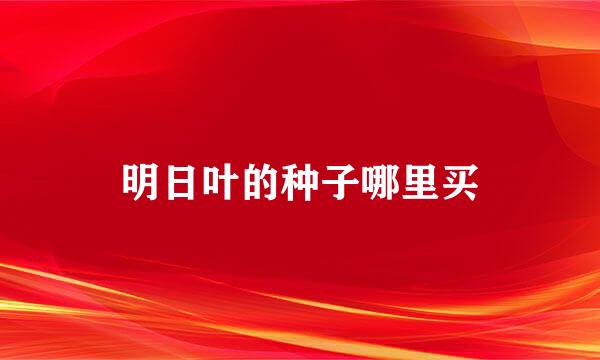 明日叶的种子哪里买