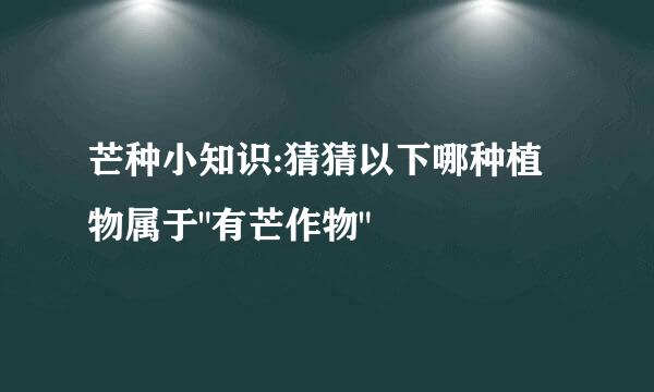 芒种小知识:猜猜以下哪种植物属于