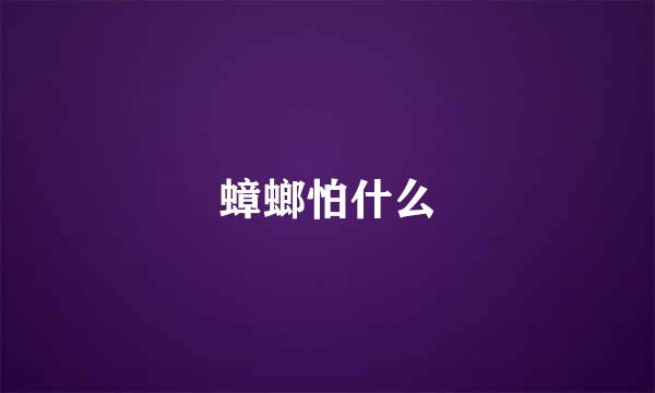 蟑螂怕什么