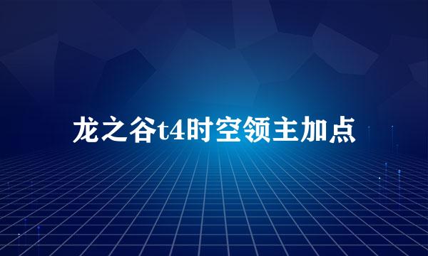 龙之谷t4时空领主加点