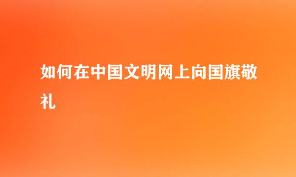 如何在中国文明网上向国旗敬礼