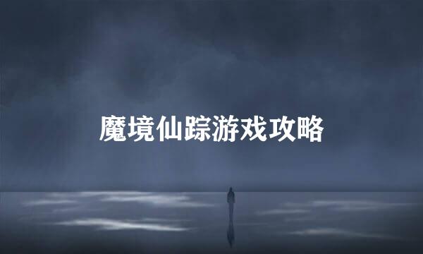 魔境仙踪游戏攻略