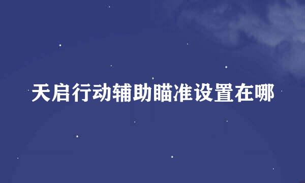 天启行动辅助瞄准设置在哪