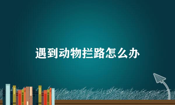 遇到动物拦路怎么办