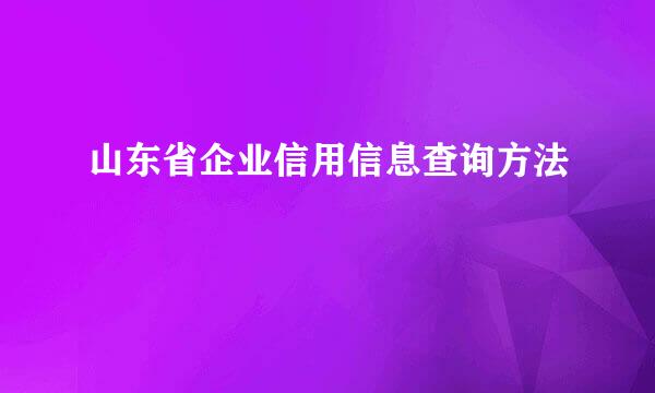 山东省企业信用信息查询方法