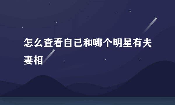 怎么查看自己和哪个明星有夫妻相