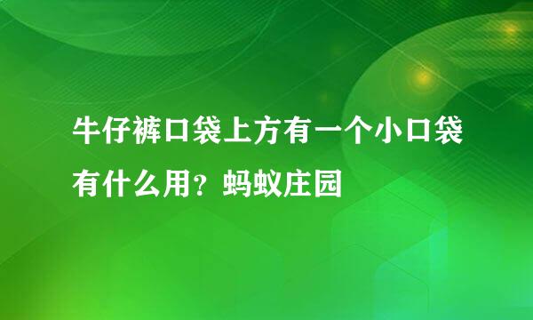 牛仔裤口袋上方有一个小口袋有什么用？蚂蚁庄园