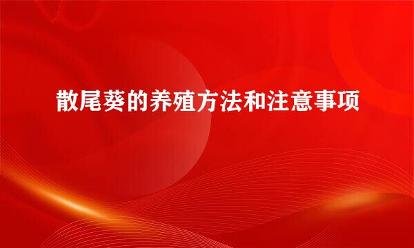 散尾葵的养殖方法和注意事项