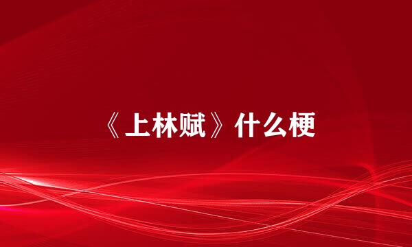 《上林赋》什么梗