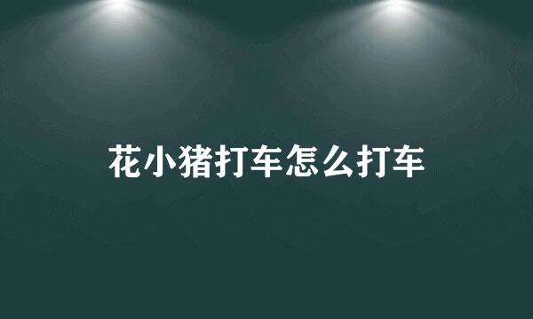 花小猪打车怎么打车