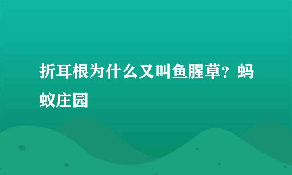 折耳根为什么又叫鱼腥草？蚂蚁庄园