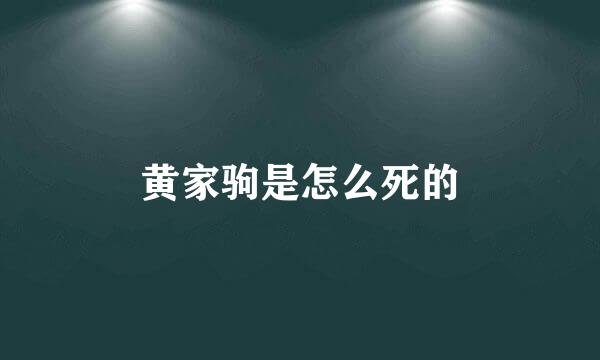 黄家驹是怎么死的