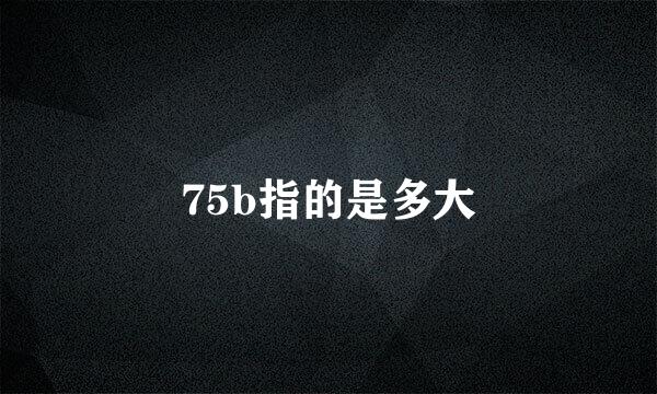75b指的是多大