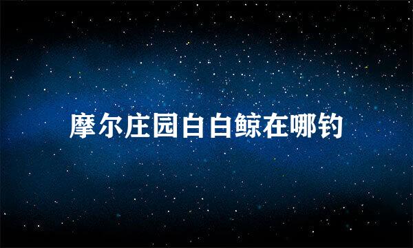 摩尔庄园白白鲸在哪钓