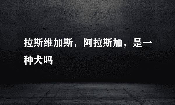 拉斯维加斯，阿拉斯加，是一种犬吗