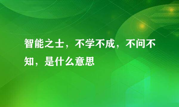 智能之士，不学不成，不问不知，是什么意思