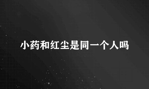 小药和红尘是同一个人吗