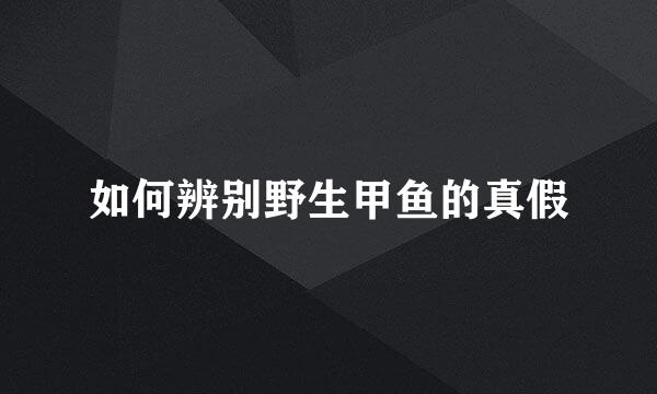 如何辨别野生甲鱼的真假