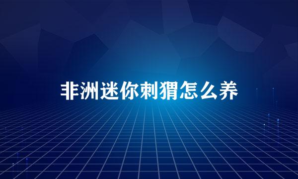 非洲迷你刺猬怎么养