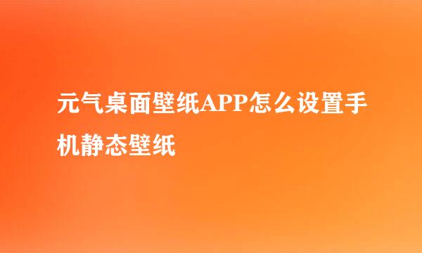 元气桌面壁纸APP怎么设置手机静态壁纸