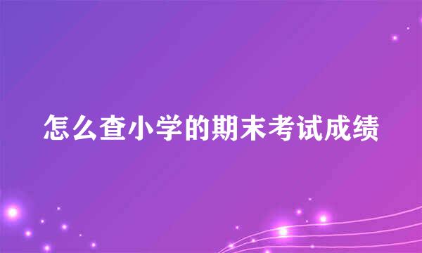 怎么查小学的期末考试成绩