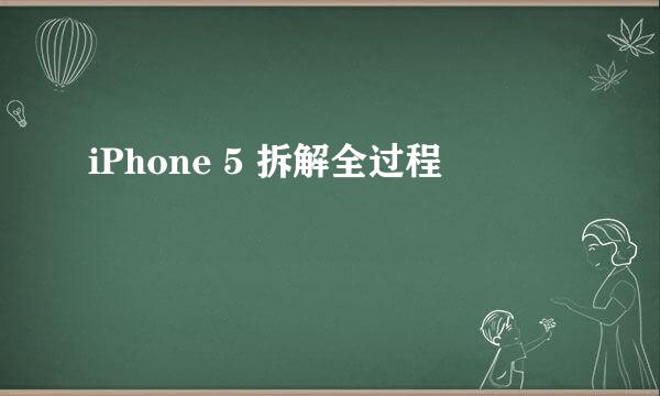 iPhone 5 拆解全过程